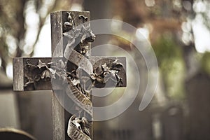 High Cross of the scriptures and cathedral GLASNEVIN CEMETERY . DUBLIN. IRELAND