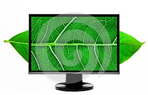 High Definition computer monitor