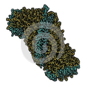 High density lipoprotein (HDL). Carrier of \