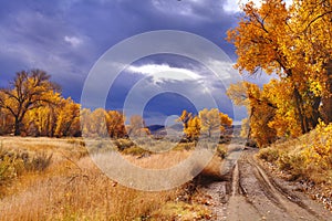 High Desert Autumn