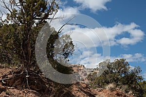 High desert landscape with copy space on the right in the sky