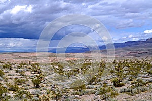High Desert and Low Clouds