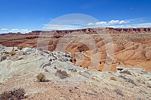 High Desert Panorama in the Spring
