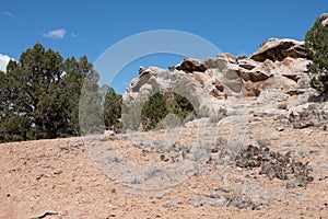 High Desert Sandstone formation with Prickly Pear Cactus