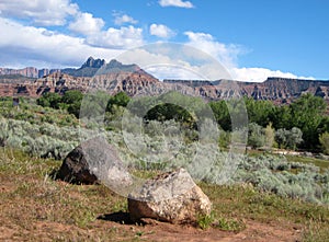 High desert scene