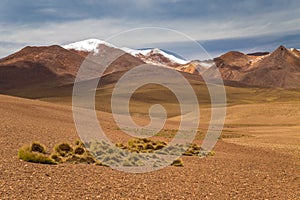 High desert with snow capped mountain peaks