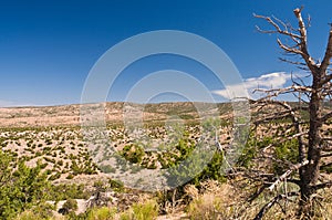 High desert wilderness