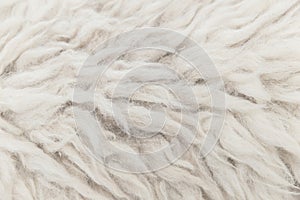 High detail of sheep fur skin texture pattern