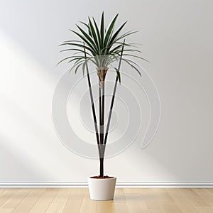 High Detailed Palm Tree In Dark Brown And White For Empty Room