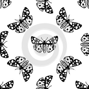 High detailed seamless pattern of cream-spot tiger moth. Hand drawn butterfly sketch. Vintage insect drawing on white background.