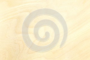 High-detailed surface of plywood material for background