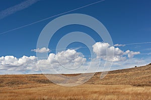 High dry meadow with blue sky