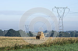 High electricity poles in rural scenics.