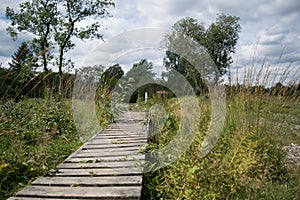 High Fens, Hautes Fagnes, at the eifel national park