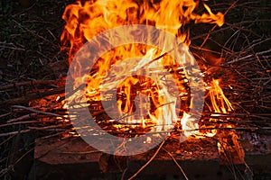 High flame of a bonfire. Fire in night