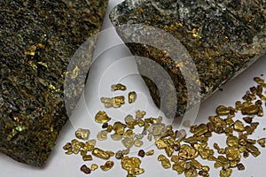 High-Grade Gold Ore and California Placer Gold Nuggets photo