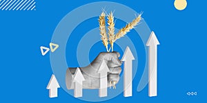 High grain yield, increase a crop, increased grain value. Wheat spikelets in the hand and an ascending arrow chart