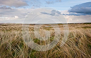 Field under blue sky in Ireland