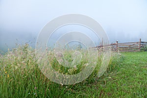 High grass on the pasture with wooden fence, foggy morning.