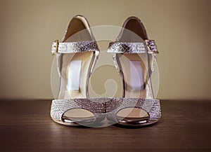 High Heel Silver Luxury Shoes