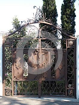 High iron gates with a decorative forged pattern enclose a private area with green vegetation and arborvitae in the yard