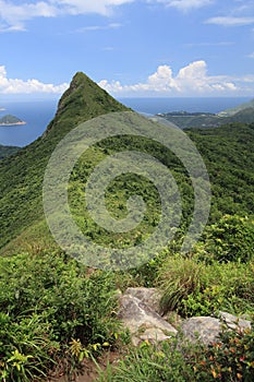 Vegetation, mountain, highland, nature, mountainous, landforms, wilderness, ridge, mount, scenery, sky, reserve, hill, shrubland, photo