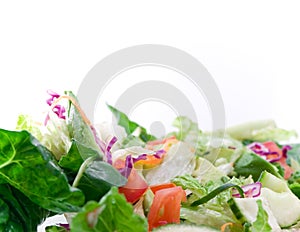 High key closeup of salad photo