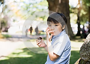 High key protrait Happy boy eatting chocolate cake siting in the park, Kid looking out deep in thought while eating walnut brownie