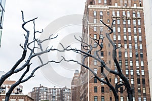 High Line Elevated Park in Manhattan in New York City, USA