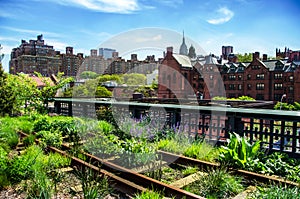 HIgh Line. New York City, Manhattan.