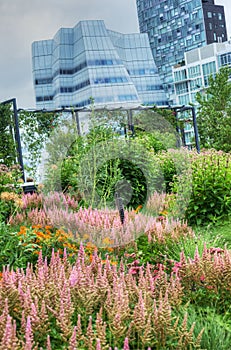 High Line in NYC