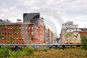 High Line Park Chelsea, New York photo