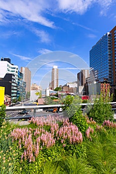 High Line Park Manhattan New York US photo