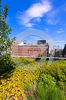 High Line Park Manhattan New York US photo