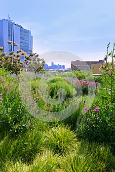 High Line Park Manhattan New York US photo