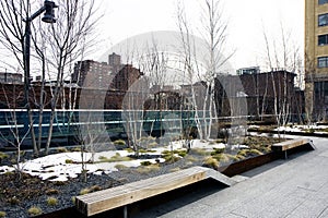 High Line park in New York photo