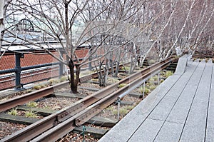 High Line park New York