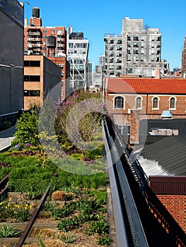 The High Line Park in New York City photo