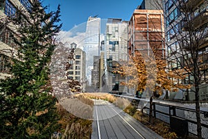 High Line Park - New York, USA photo