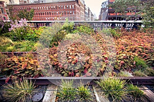 The High Line Park photo