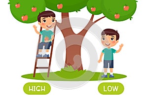 High and low antonyms word card vector template. Flashcard for english language learning.