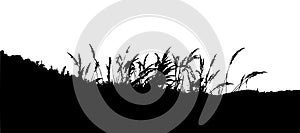 High and low grass black silhouette isolated