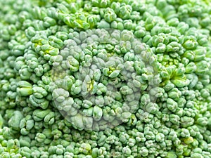 High magnification broccoli head