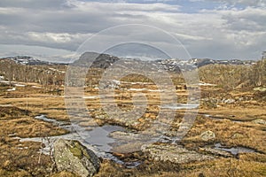 High moor in Rogaland