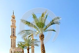 High mosque and green palm trees against a clear blue sky in Sharm El Sheikh