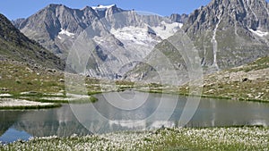 High mountain alpine snow covered peaks and a crystal clean alpine stream