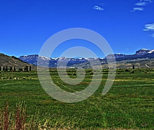 High mountain cattle pasture in front of Absaroka Mountain Range under summer cirrus and lenticular clouds near Dubois Wyoming photo