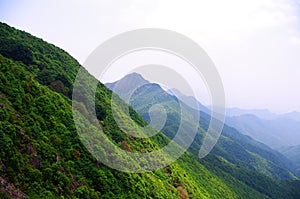 High mountain with green tree at southwest china