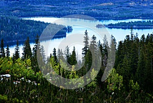 High Mountain Lake Environment Clear Pure Water and Forest
