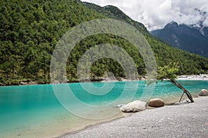 High mountain lake beside forest